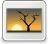[thumbnail of WhatsApp Image 2021-11-01 at 13.30.28.jpeg]